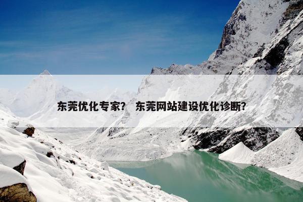 东莞优化专家？ 东莞网站建设优化诊断？