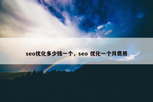 seo优化多少钱一个，seo 优化一个月费用