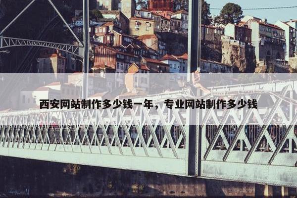 西安网站制作多少钱一年，专业网站制作多少钱