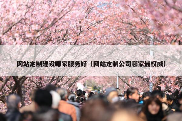 网站定制建设哪家服务好（网站定制公司哪家最权威）