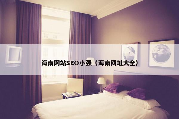 海南网站SEO小强（海南网址大全）