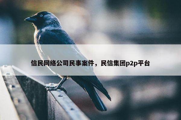 信民网络公司民事案件，民信集团p2p平台