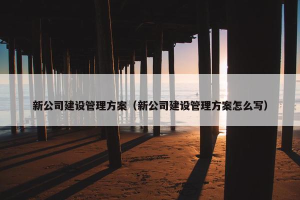 新公司建设管理方案（新公司建设管理方案怎么写）