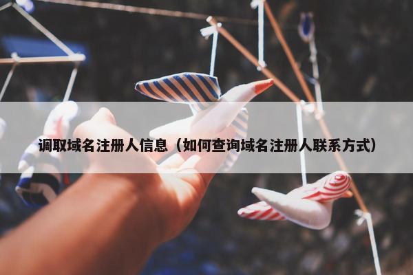调取域名注册人信息（如何查询域名注册人联系方式）