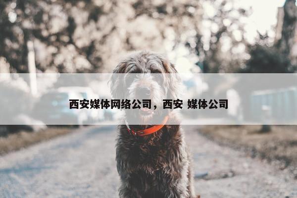 西安媒体网络公司，西安 媒体公司