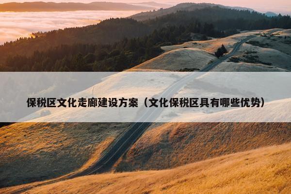 保税区文化走廊建设方案（文化保税区具有哪些优势）