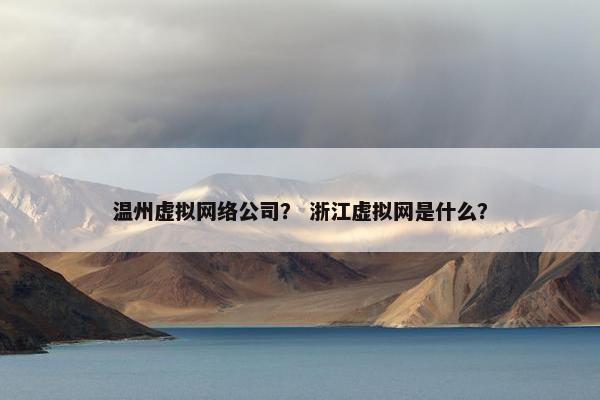 温州虚拟网络公司？ 浙江虚拟网是什么？