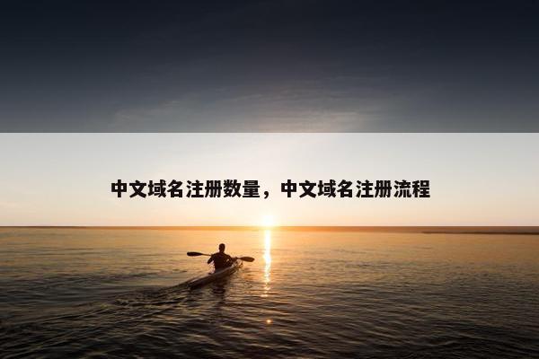 中文域名注册数量，中文域名注册流程