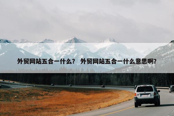 外贸网站五合一什么？ 外贸网站五合一什么意思啊？