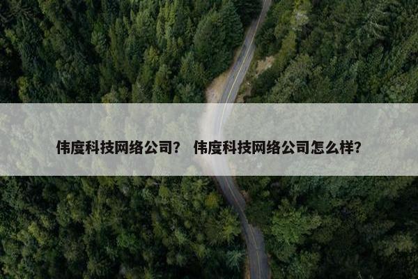 伟度科技网络公司？ 伟度科技网络公司怎么样？