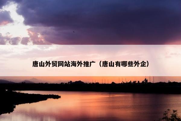 唐山外贸网站海外推广（唐山有哪些外企）