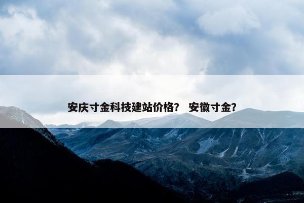 安庆寸金科技建站价格？ 安徽寸金？