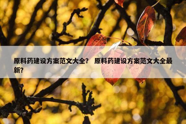 原料药建设方案范文大全？ 原料药建设方案范文大全最新？