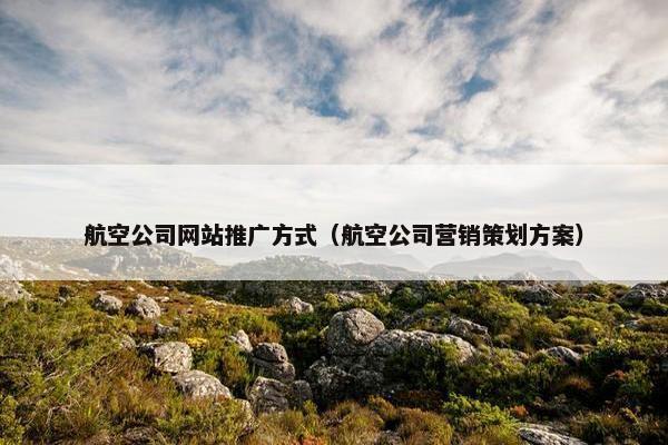 航空公司网站推广方式（航空公司营销策划方案）