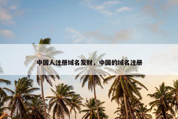 中国人注册域名发财，中国的域名注册