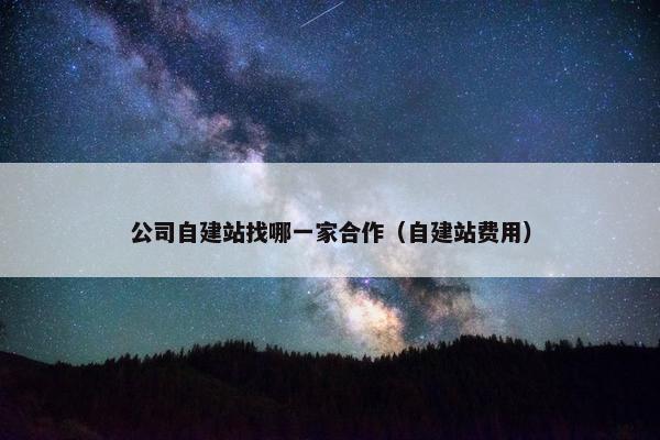 公司自建站找哪一家合作（自建站费用）