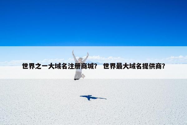 世界之一大域名注册商城？ 世界最大域名提供商？