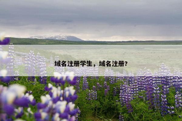 域名注册学生，域名注册?