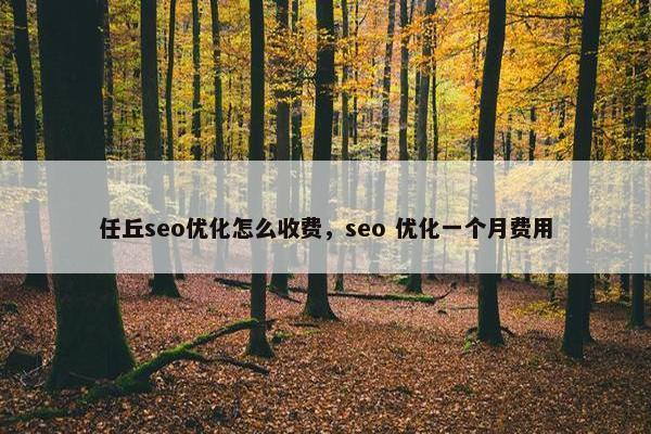 任丘seo优化怎么收费，seo 优化一个月费用