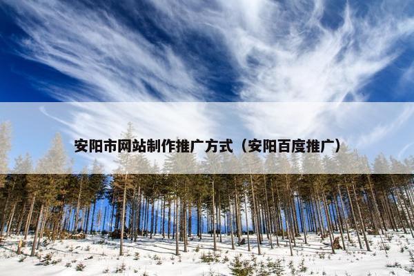 安阳市网站制作推广方式（安阳百度推广）