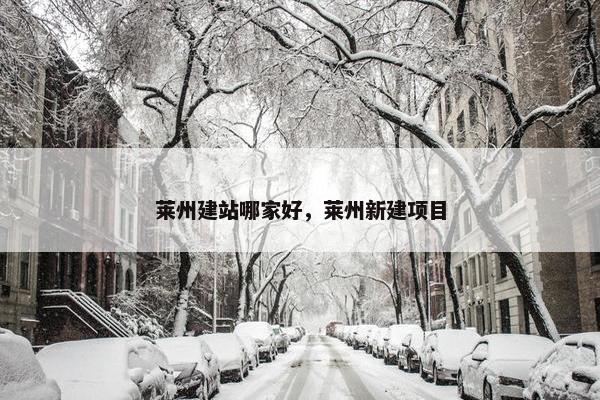 莱州建站哪家好，莱州新建项目