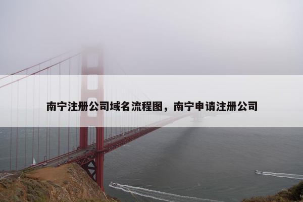 南宁注册公司域名流程图，南宁申请注册公司