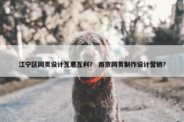 江宁区网页设计互惠互利？ 南京网页制作设计营销？