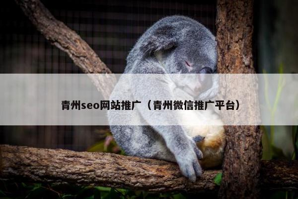 青州seo网站推广（青州微信推广平台）
