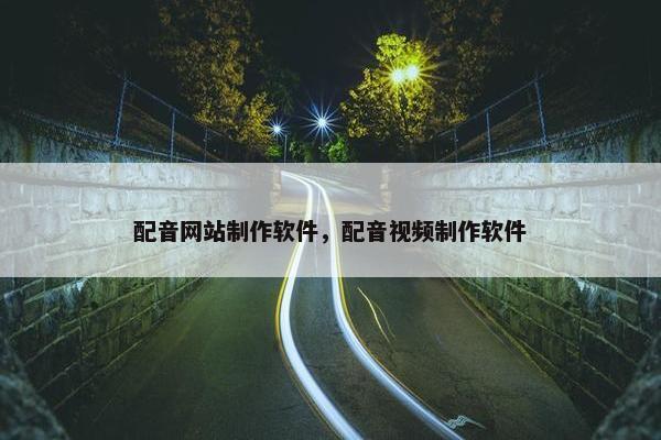 配音网站制作软件，配音视频制作软件