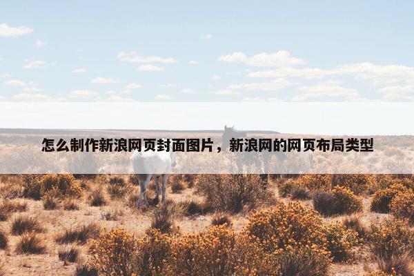 怎么制作新浪网页封面图片，新浪网的网页布局类型