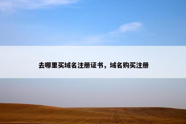 去哪里买域名注册证书，域名购买注册