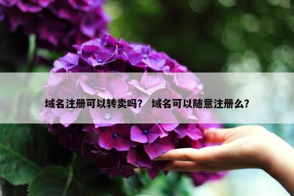 域名注册可以转卖吗？ 域名可以随意注册么？