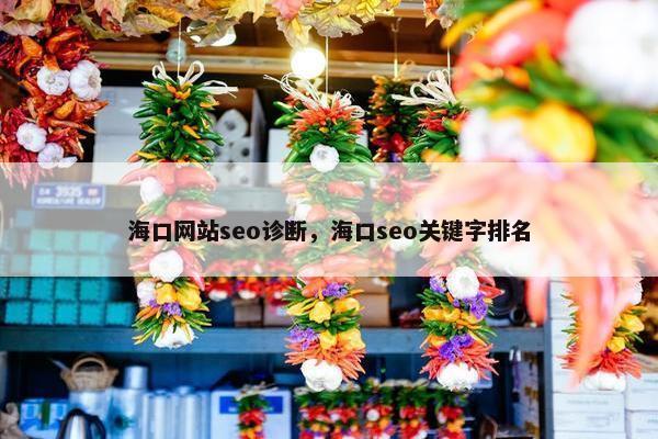 海口网站seo诊断，海口seo关键字排名
