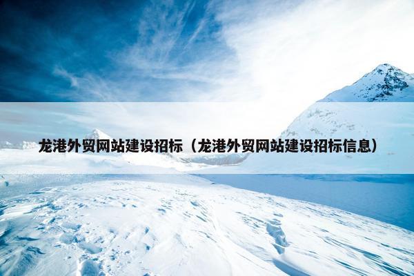 龙港外贸网站建设招标（龙港外贸网站建设招标信息）