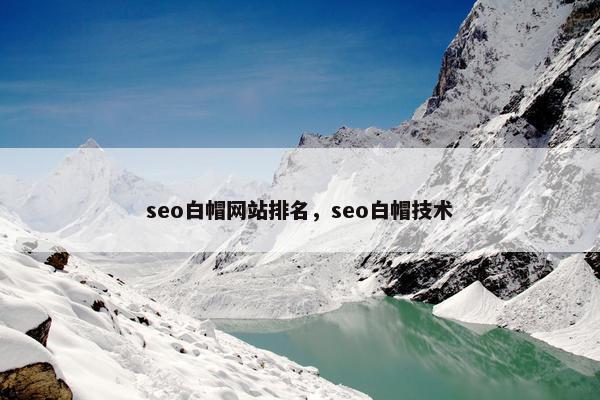 seo白帽网站排名，seo白帽技术