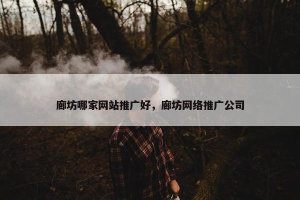 廊坊哪家网站推广好，廊坊网络推广公司