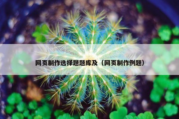网页制作选择题题库及（网页制作例题）