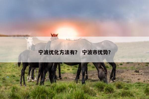 宁波优化方法有？ 宁波市优势？