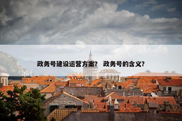 政务号建设运营方案？ 政务号的含义？