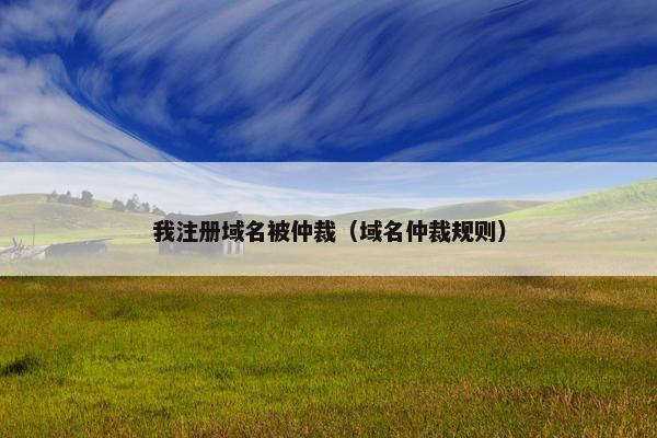 我注册域名被仲裁（域名仲裁规则）