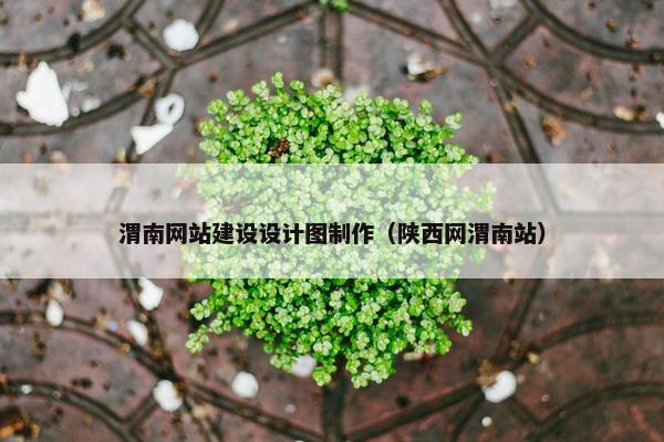 渭南网站建设设计图制作（陕西网渭南站）