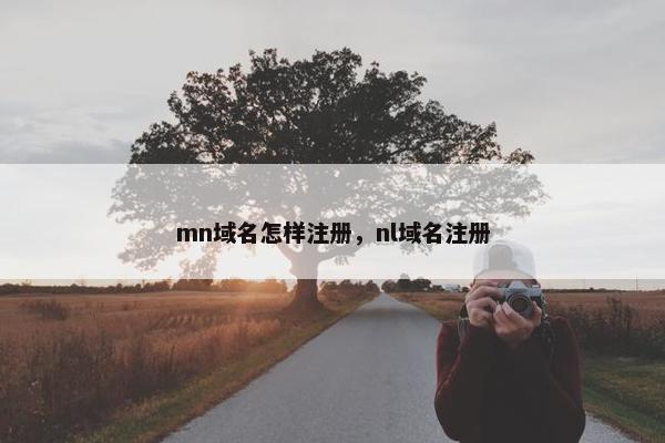 mn域名怎样注册，nl域名注册