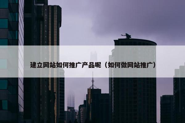 建立网站如何推广产品呢（如何做网站推广）
