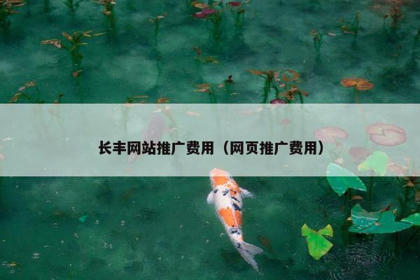 长丰网站推广费用（网页推广费用）