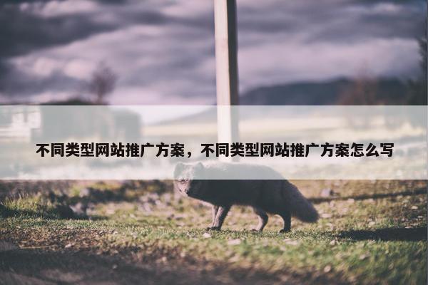 不同类型网站推广方案，不同类型网站推广方案怎么写