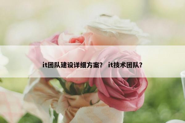 it团队建设详细方案？ it技术团队？