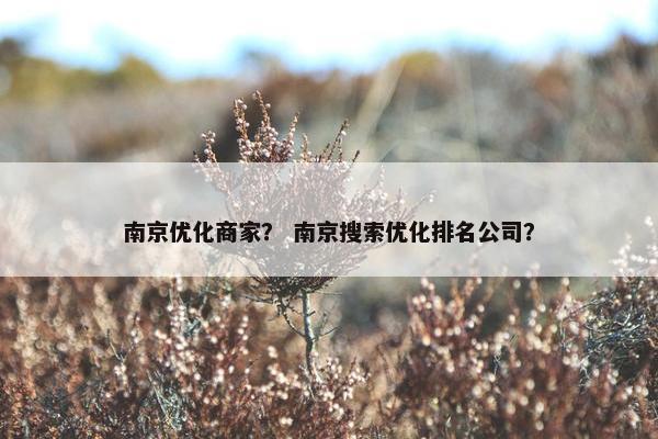 南京优化商家？ 南京搜索优化排名公司？
