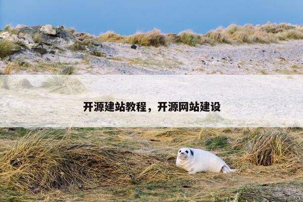 开源建站教程，开源网站建设