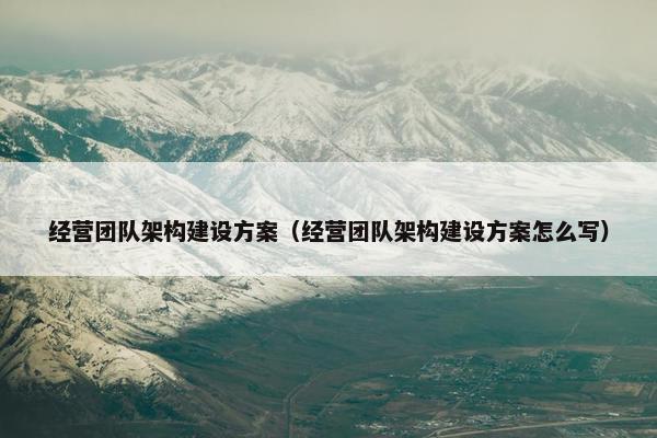 经营团队架构建设方案（经营团队架构建设方案怎么写）