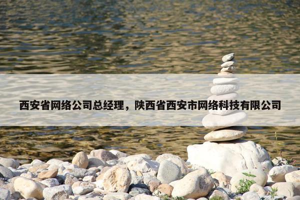 西安省网络公司总经理，陕西省西安市网络科技有限公司
